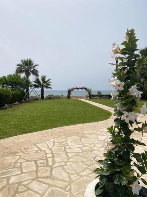 Ionion Beachfront Villa 아이아 나파 외부 사진
