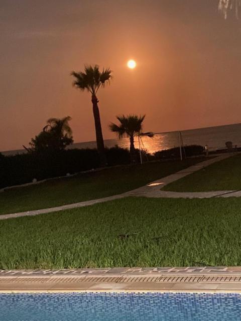 Ionion Beachfront Villa 아이아 나파 외부 사진