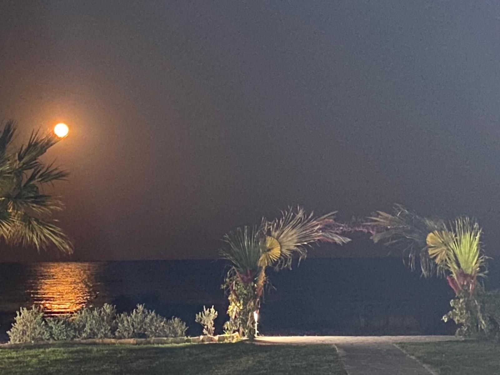 Ionion Beachfront Villa 아이아 나파 외부 사진