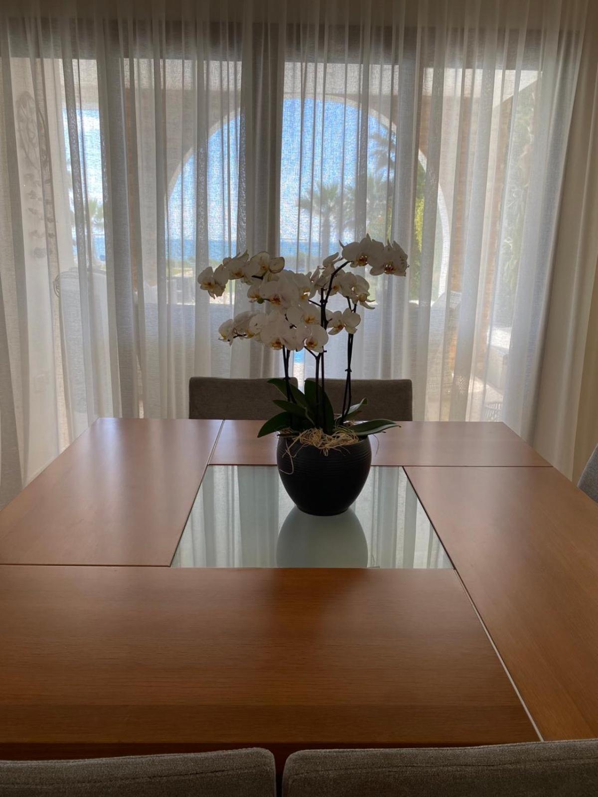 Ionion Beachfront Villa 아이아 나파 외부 사진
