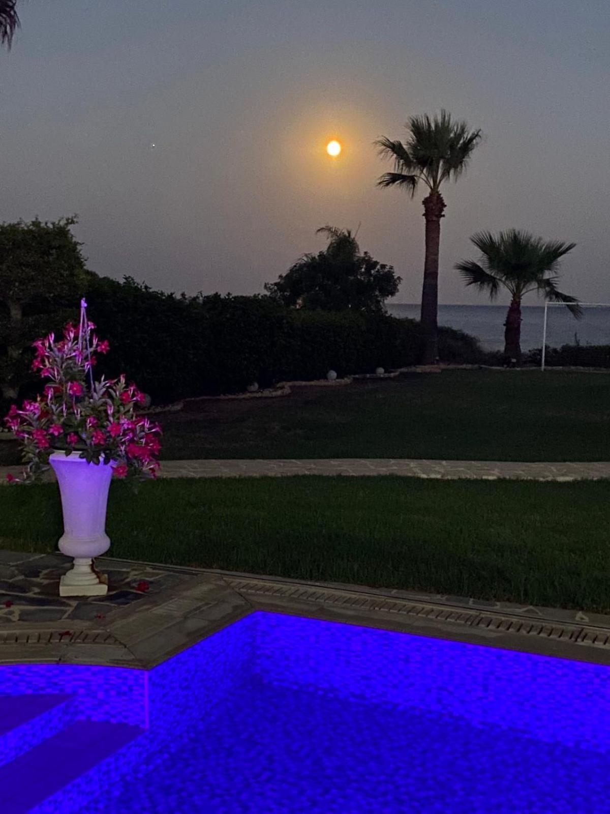 Ionion Beachfront Villa 아이아 나파 외부 사진